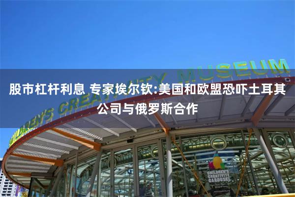 股市杠杆利息 专家埃尔钦:美国和欧盟恐吓土耳其公司与俄罗斯合作