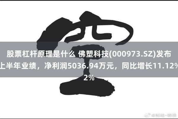 股票杠杆原理是什么 佛塑科技(000973.SZ)发布上半年业绩，净利润5036.94万元，同比增长11.12%