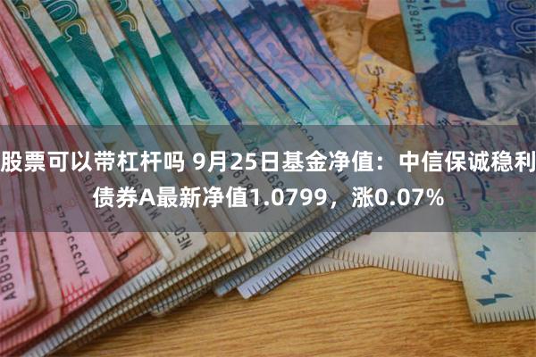 股票可以带杠杆吗 9月25日基金净值：中信保诚稳利债券A最新净值1.0799，涨0.07%