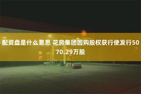 配资盘是什么意思 花房集团因购股权获行使发行5070.29万股