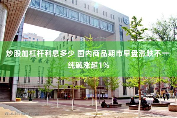 炒股加杠杆利息多少 国内商品期市早盘涨跌不一 纯碱涨超1%